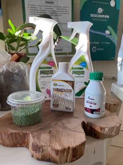 Curso de Cultivo de Orquídeas reúne cooperadas na Coprossel e promove capacitação prática